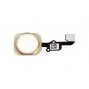 FLAT CABLE APPLE IPHONE 6S WITH HOME BUTTON   KEY EXTERIOR COLOUR GOLD COMPATIBLE