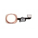 FLAT CABLE APPLE IPHONE 6S WITH HOME BUTTON   BUTTON EXTERNAL PINK COMPATIBLE