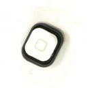 JOYSTICK OUTSIDE APPLE IPOD TOUCH 5 GENERATION ORIGINAL WHITE